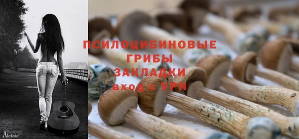 стаф Арсеньев