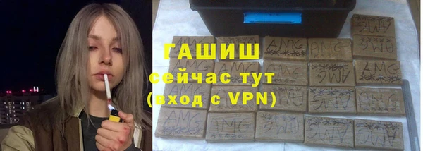 стаф Арсеньев