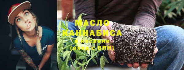 стаф Арсеньев