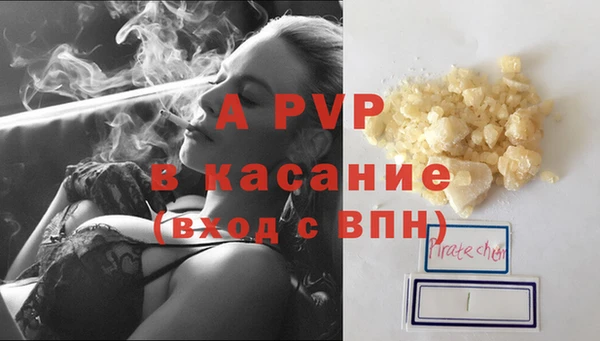 стаф Арсеньев