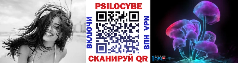 Псилоцибиновые грибы прущие грибы  Рыльск 